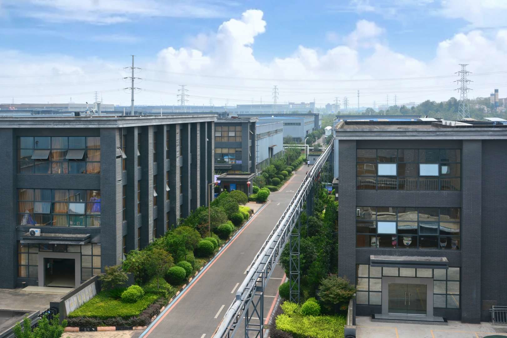 جودة إنزيمات الغذاء مصنع